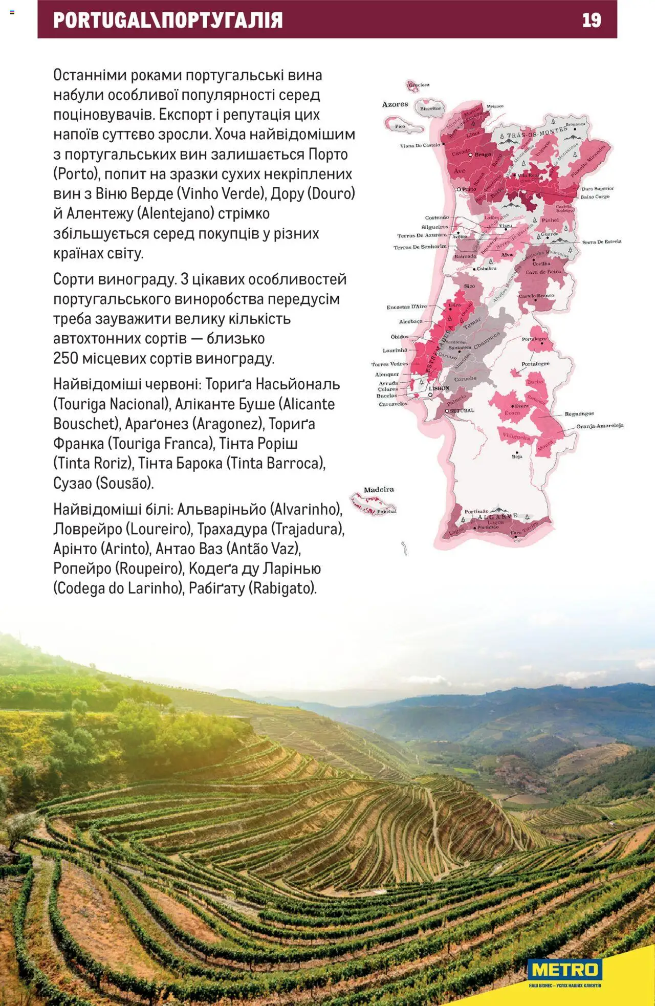 Metro Kаталог - дійснийкції з 03.07.2023 | Сторінка: 19