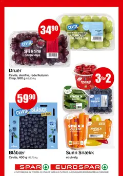 Forhåndsvisning av Snækk Blåbær, Snækk Blåbær gyldig fra 27.10.2025 | Side: 5 | Produkter: Tomater, Gulrot, Agurk, Paprika