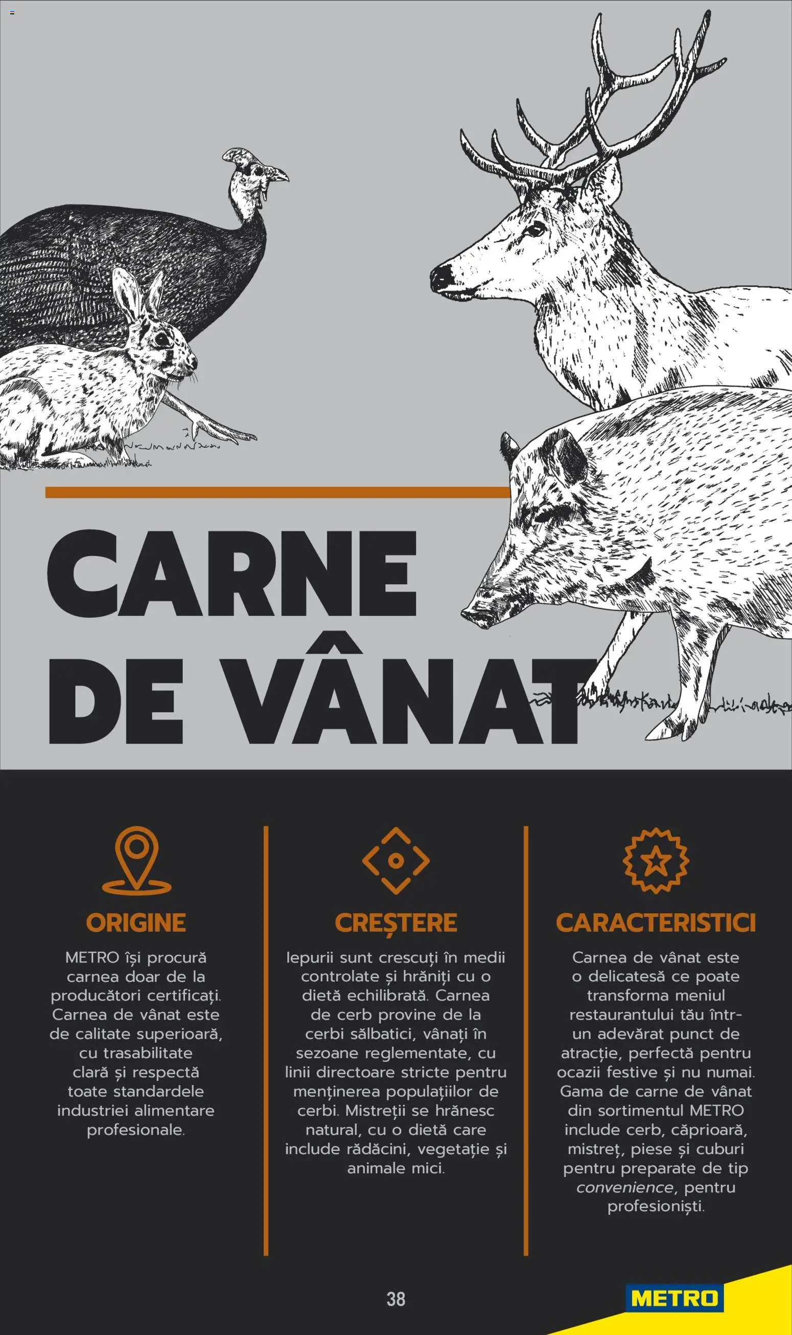 Noul catalog Metro – valabil de la 03.06.2025 | Pagină: 38