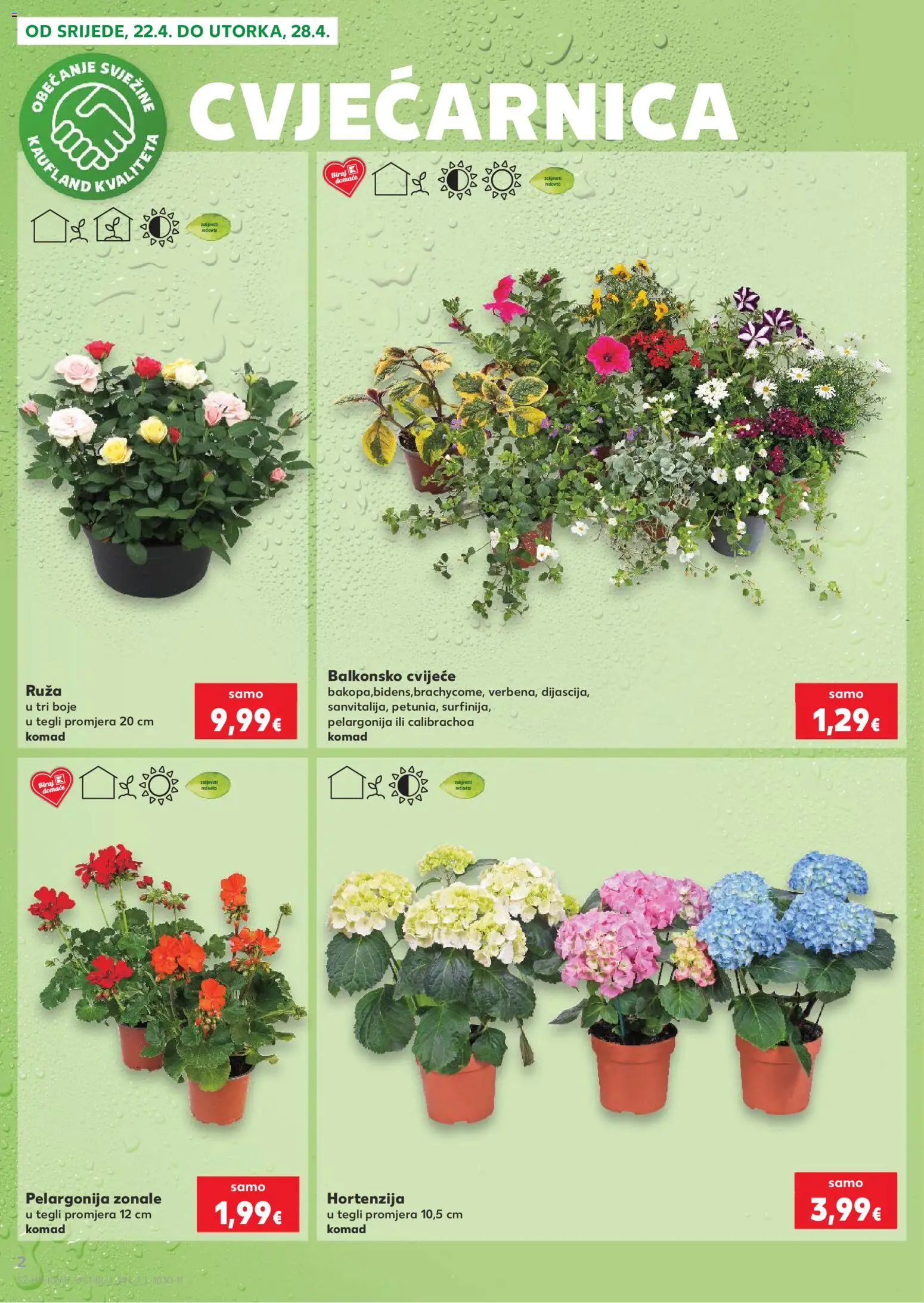 Kaufland katalog | vrijedi od 22.04.2026 | Stranica: 2 | Proizvodi: Cvijeće
