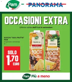 Anteprima del volantino Panorama Occasioni Extra catalogo valido a partire dal 11.09.2025