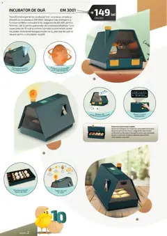 Ofertele Selgros valabile de la 13.03.2026 | Pagină: 2 | Produse: Fereastră, Babak, Ouă