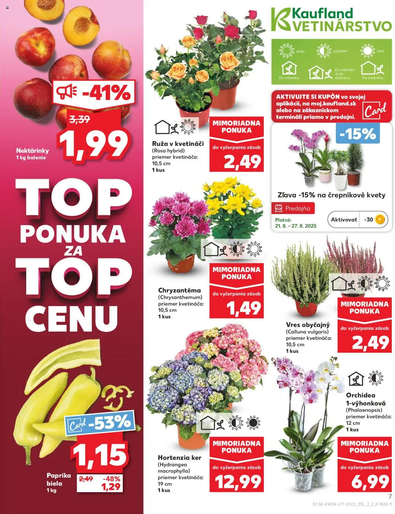 Kaufland Košice-OC Galéria │ platný od 21.08.2025 | Strana: 7 | Produkty: Paprika, Kvety, Orchidea