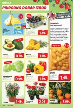 Plodine - Katalog - Pregled kataloga iz trgovine Plodine, vrijedi od 25.03.2026 | Stranica: 20 | Proizvodi: Paprika, Salata, Avokado, Grožđe