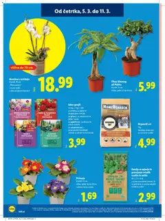 Lidl katalog akcije – veljaven od 05.03.2026 | Stran: 36 | Izdelki: Žemlja