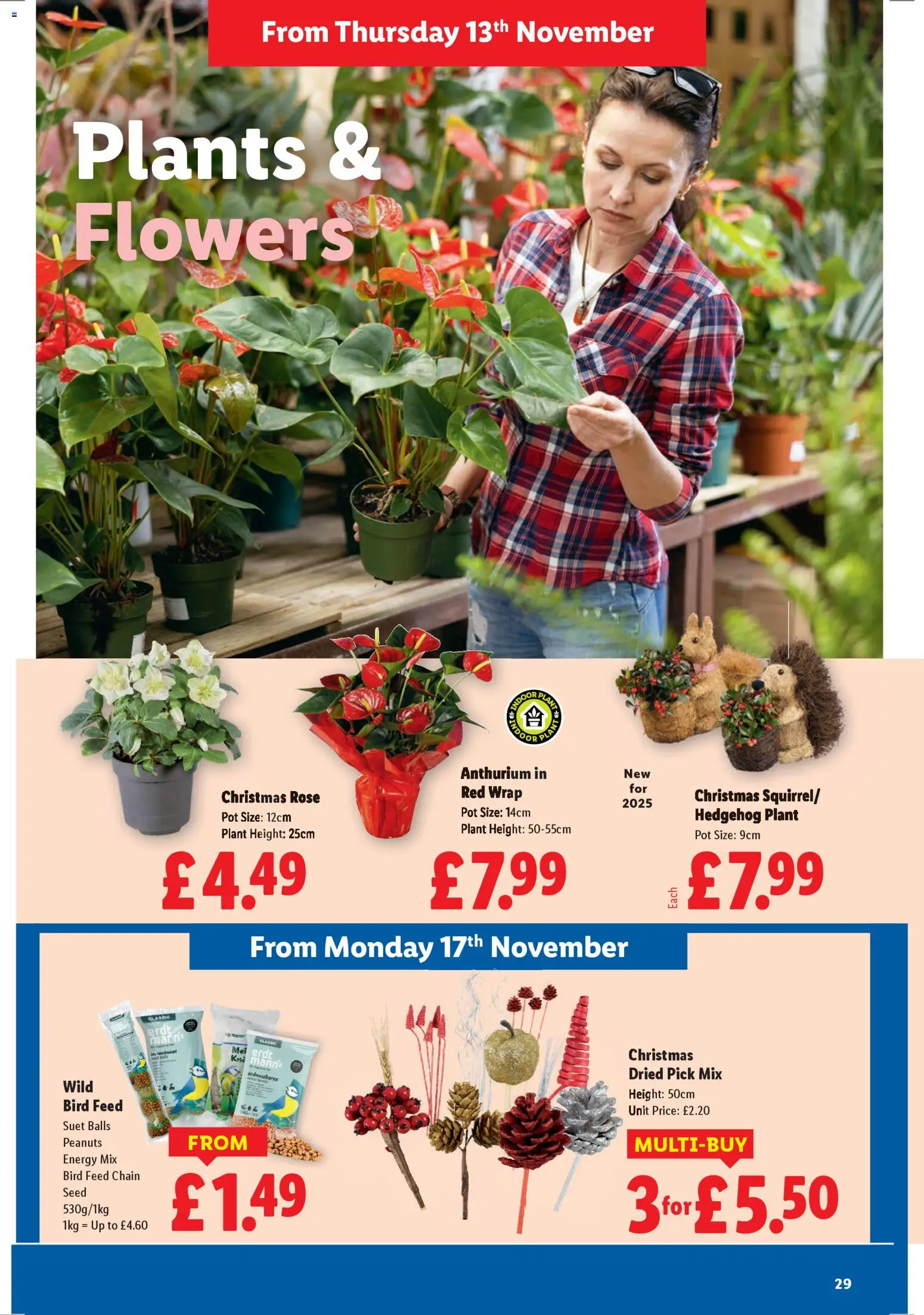 {H1} | Page: 29 | Products: Pot, Matériel de Street Workout