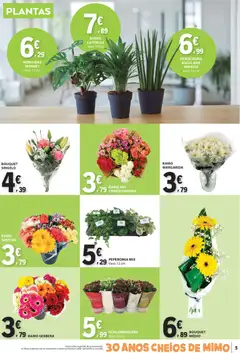 Pré-visualização E.Leclerc folheto válido de 20.11.2025 | Página: 5 | Produtos: Flores, Vaso