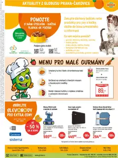 Globus leták od 17.09.2025 | Strana: 31 | Produkty: Rukavice, Pouzdro, Láhev, Stitch