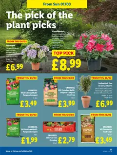 Preview of Lidl - Lidl Weekly valid from 26.02.2026 | Page: 23