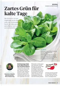 Billa  Frisch Gekocht ab 01.03.2026 gültig | Seite: 77