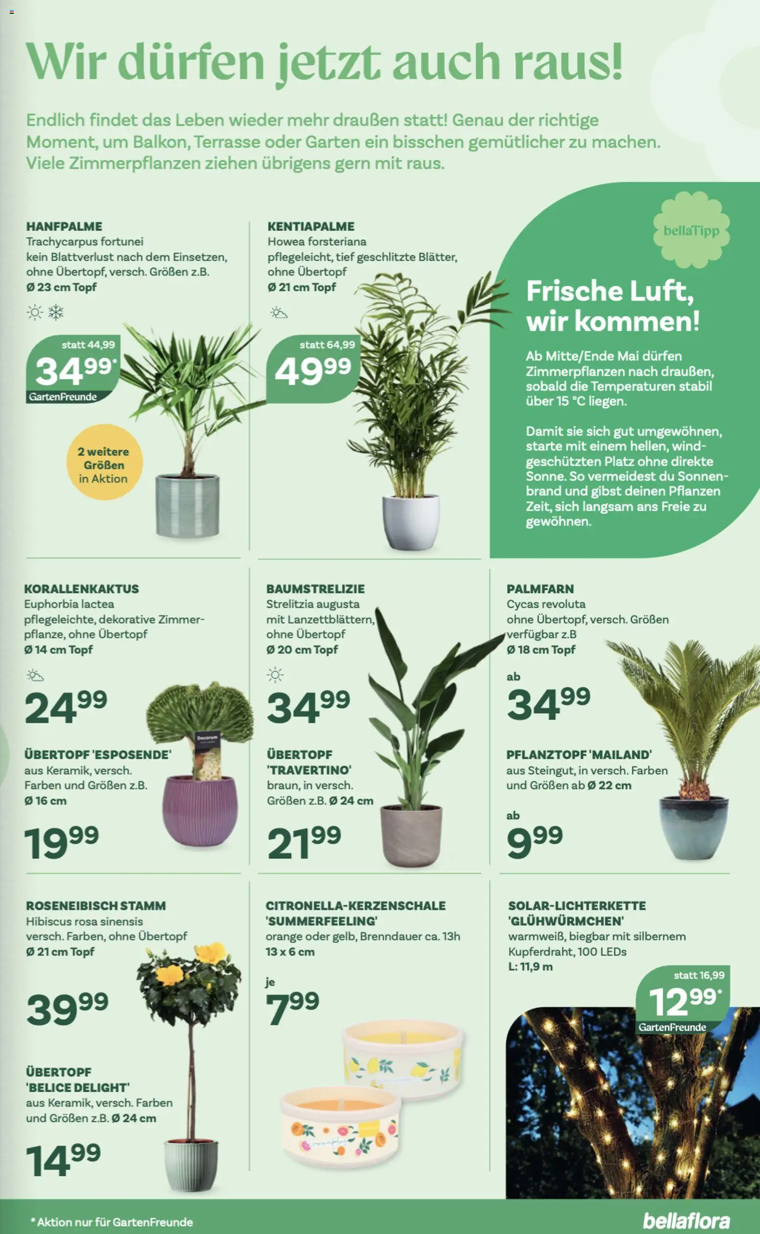 bellaflora Flugblatt gültig ab 23.04.2026 | Seite: 9