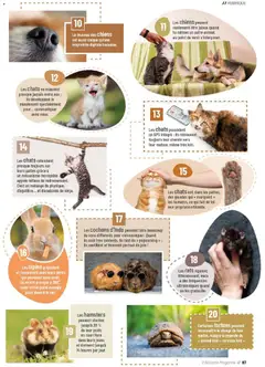 VillaVerde - Prévisualisation de VillaVerde catalogue valide à partir de 01.04.2026 | Page: 67