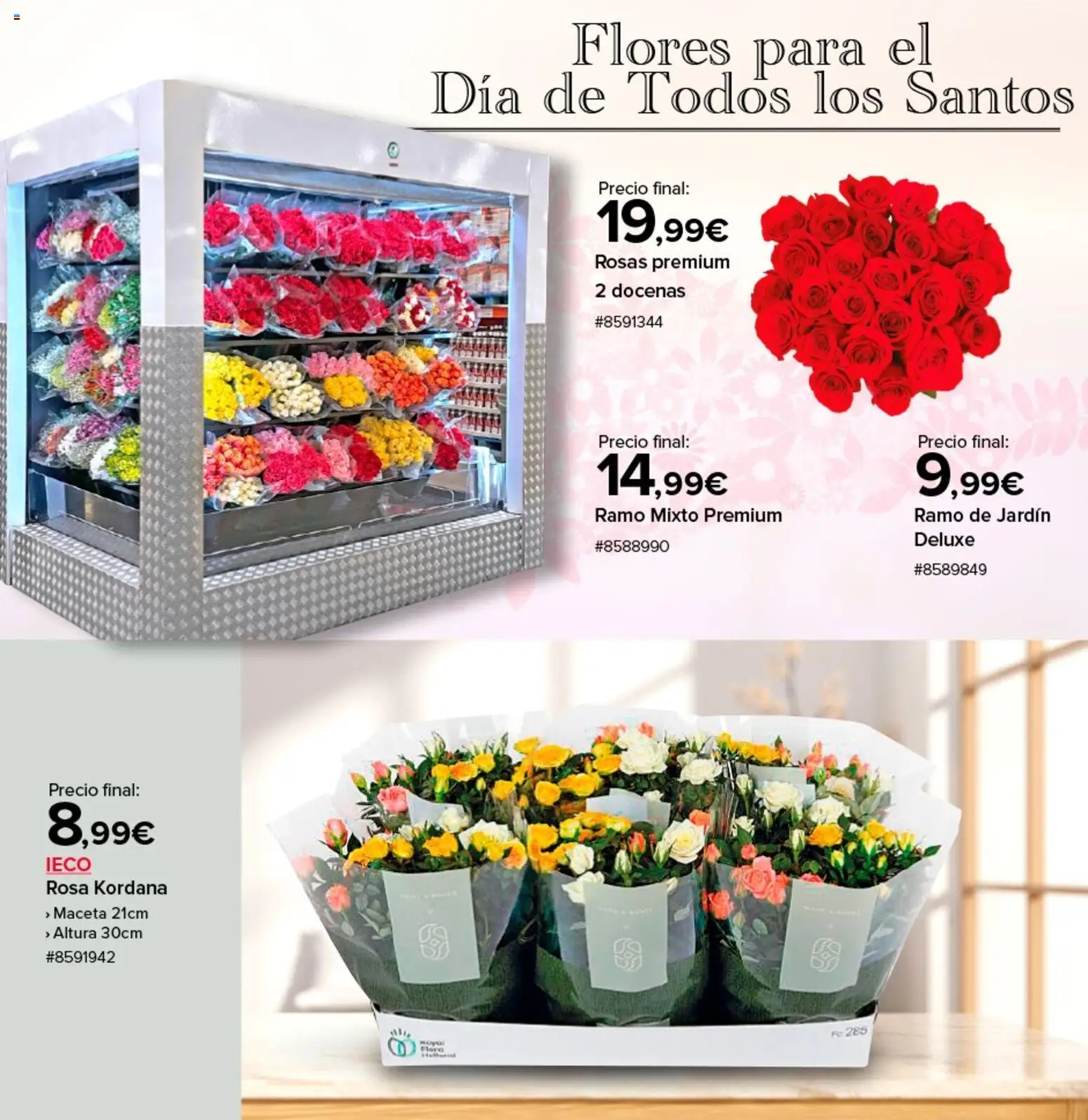 Costco catálogo │ válido desde el 28.10.2025 | Página: 2 | Productos: Maceta