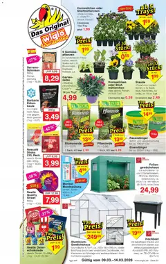 Wiglo Wunderland Prospekt ab 09.03.2026 gültig