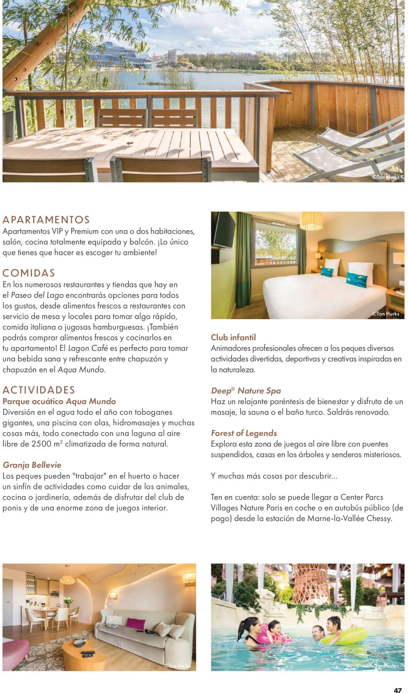 Viajes El Corte Inglés Folleto Disneyland Paris │ válido desde el 31.03.2026 | Página: 49 | Productos: Café, Mesa, Κούβα, Baño