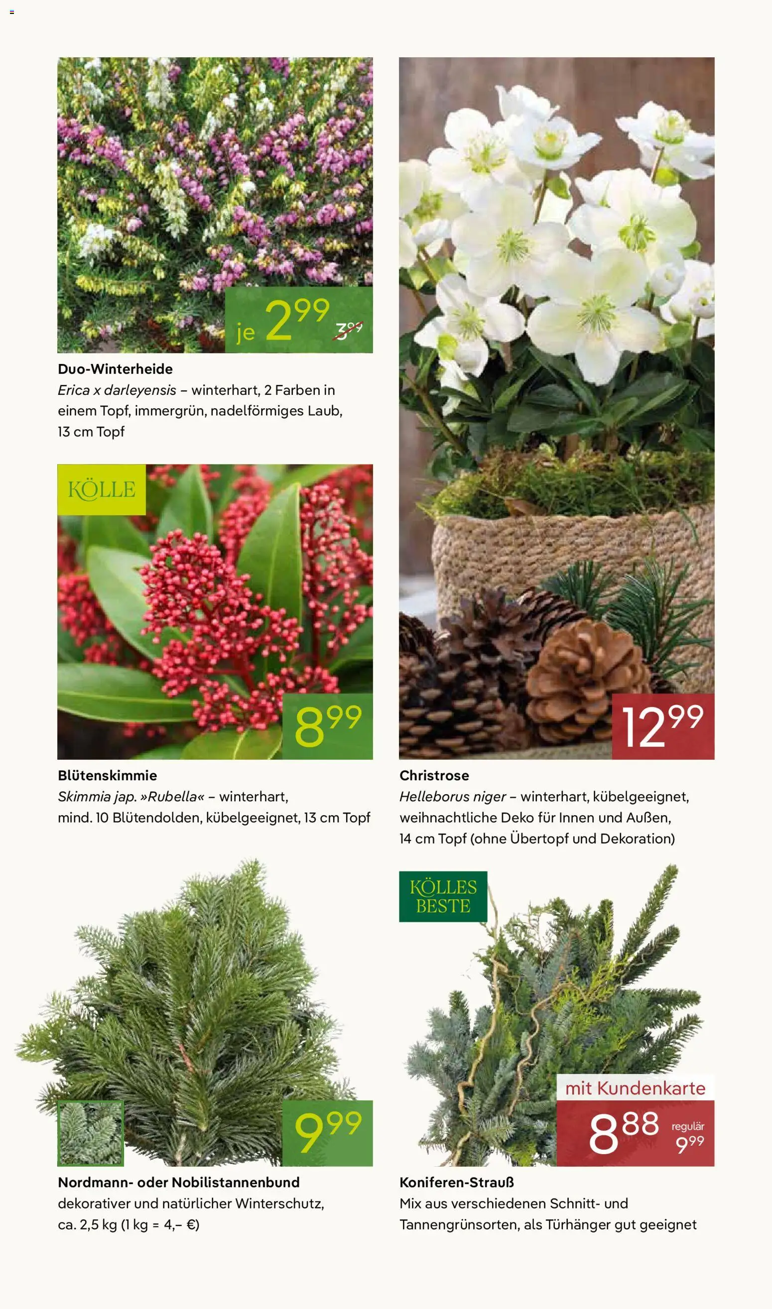 Pflanzen-Kölle Prospekt 	 – gültig ab 17.11.2025 | Seite: 9