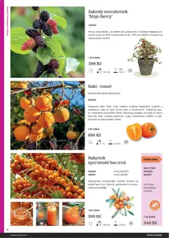 Náhled letáku Starkl katalog od 25.02.2026 | Strana: 16