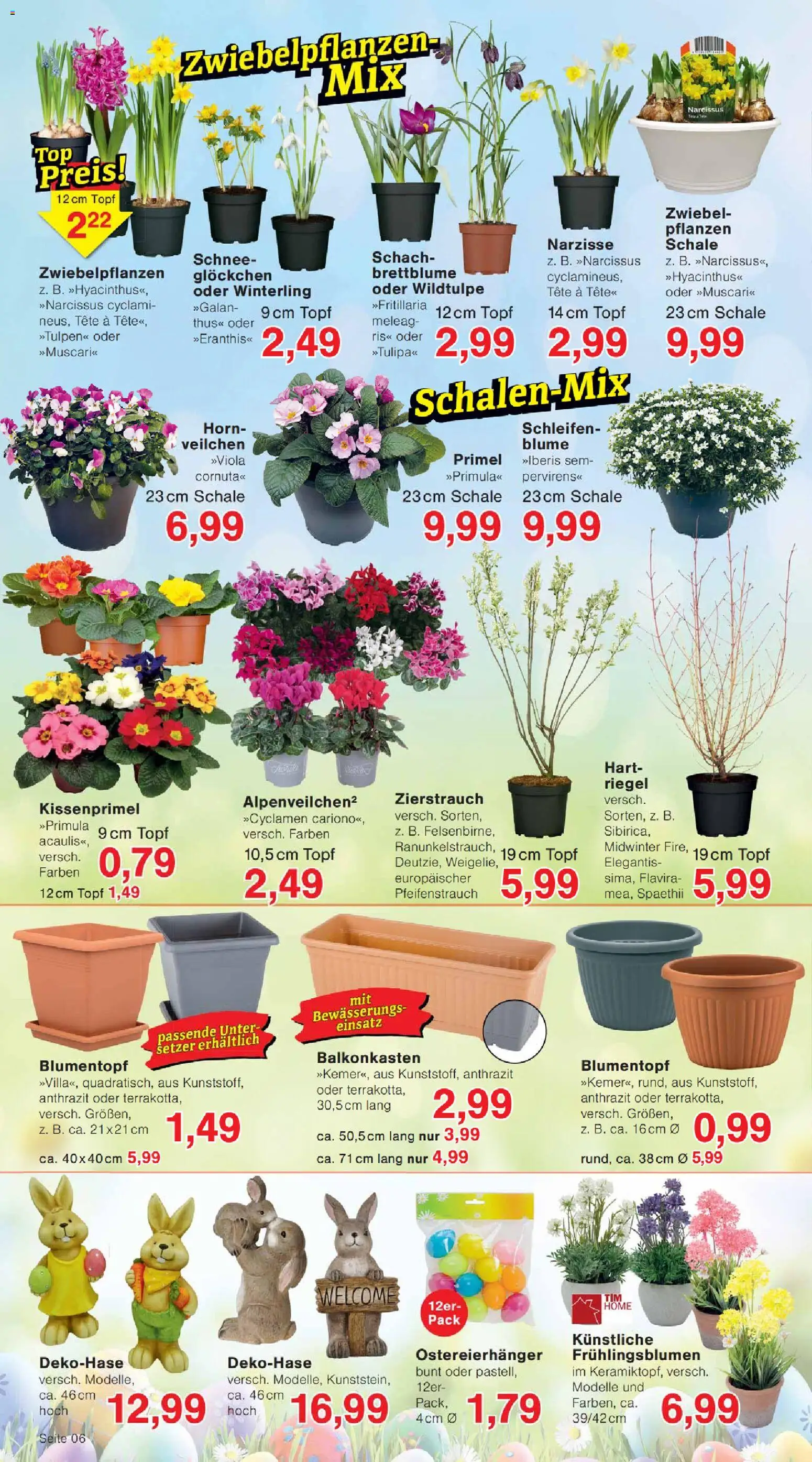 Wiglo Wunderland Prospekt – gültig ab 16.02.2026 | Seite: 6 | Produkte: Top, Blumentopf