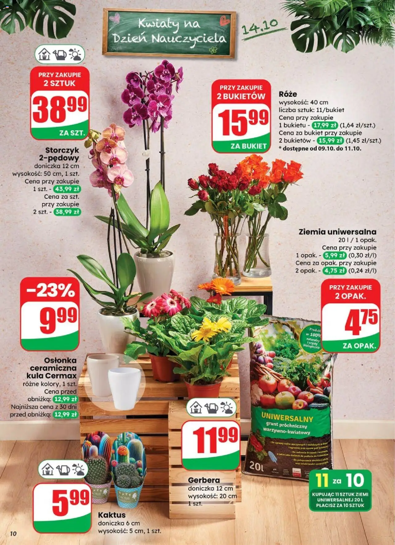 Dino Gazetka od 08.10.2025 | Strona: 10 | Produkty: Ziemia uniwersalna, Ziemia, Doniczka, Kwiaty