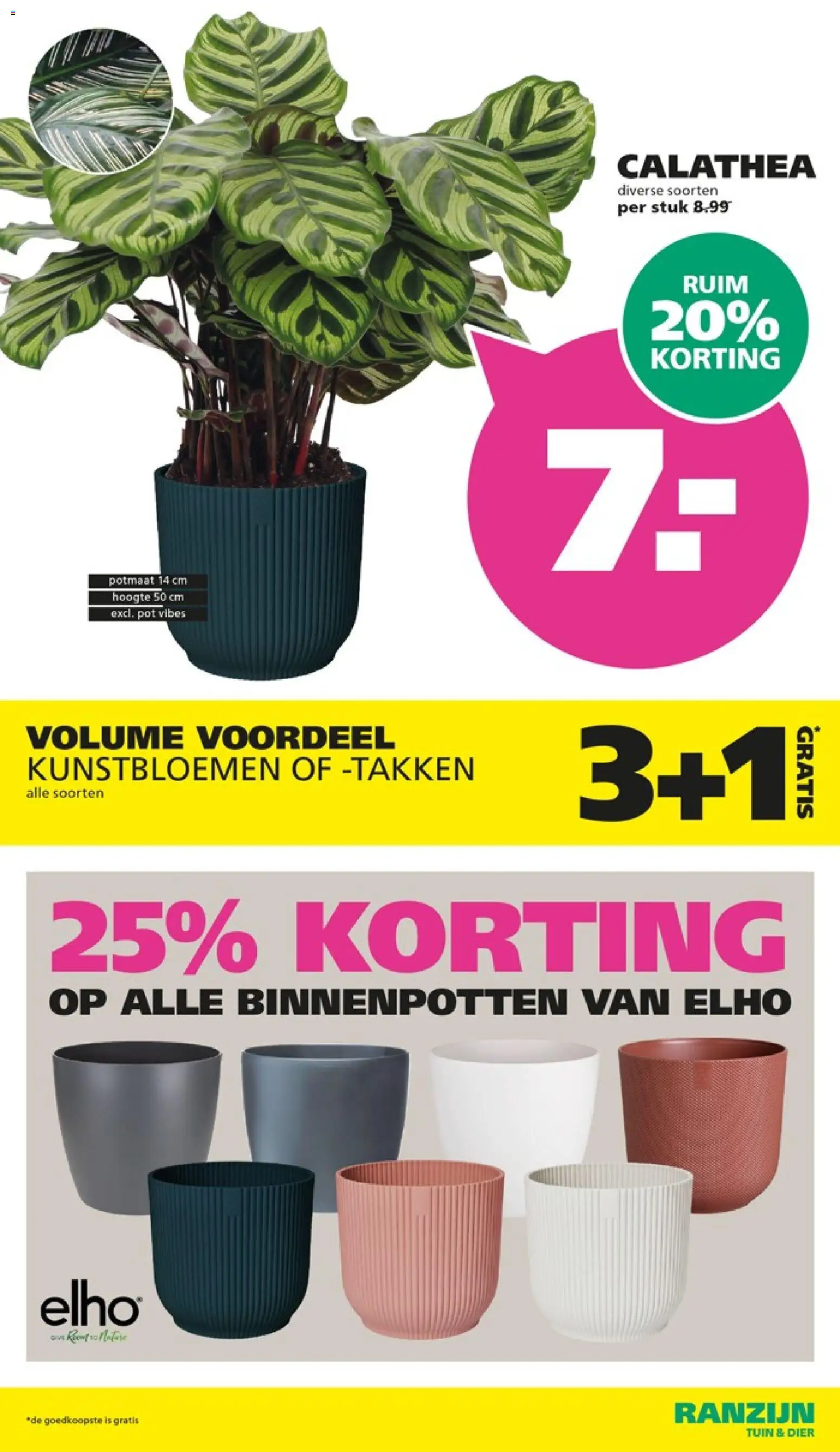 {H1} | Pagina: 11 | Producten: Pot