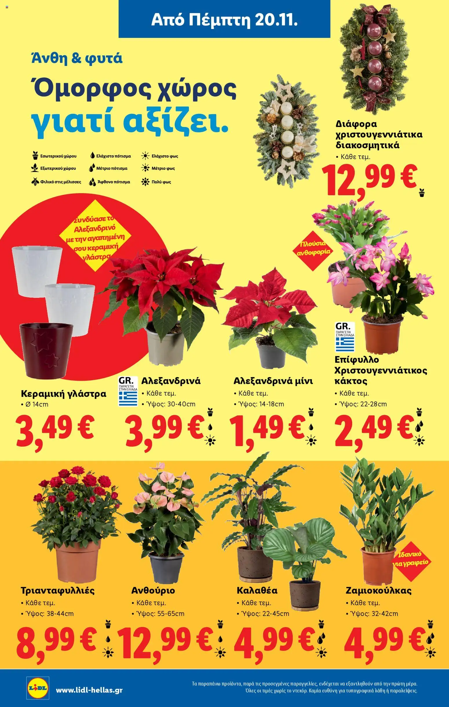  | Σελίδα: 44 | Προϊόντα: Γλάστρα