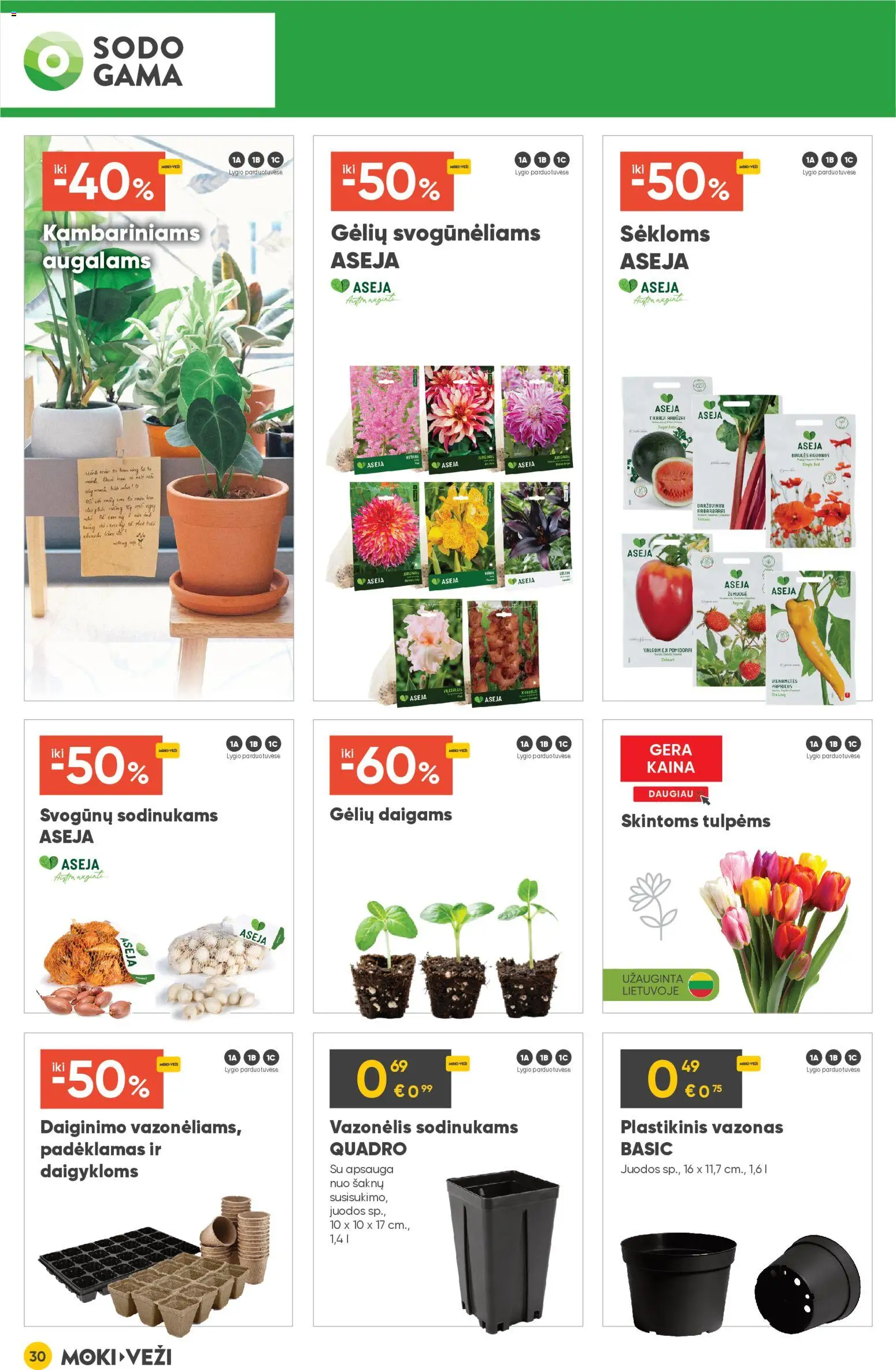 MOKI VEŽI akcijos nuo 05.03.2026 | Puslapis: 30 | Prekių: Pomidorai, Vazonas