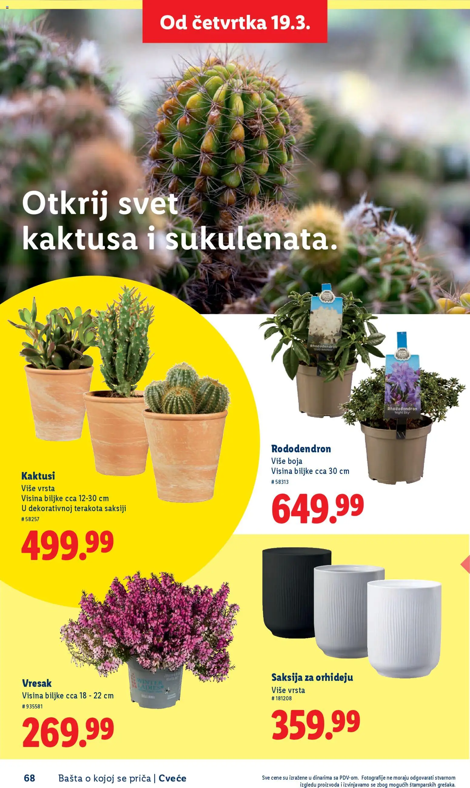 Lidl katalog - važi od 26.02.2026 | Strana: 68 | Proizvode: Saksija, Cvece