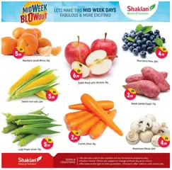 Preview of Shaklan - Midweek Blow Out - Wadi Al Safa 5, Dubailand valid from 03.11.2025 | Page: 3 | Products: Äpfel