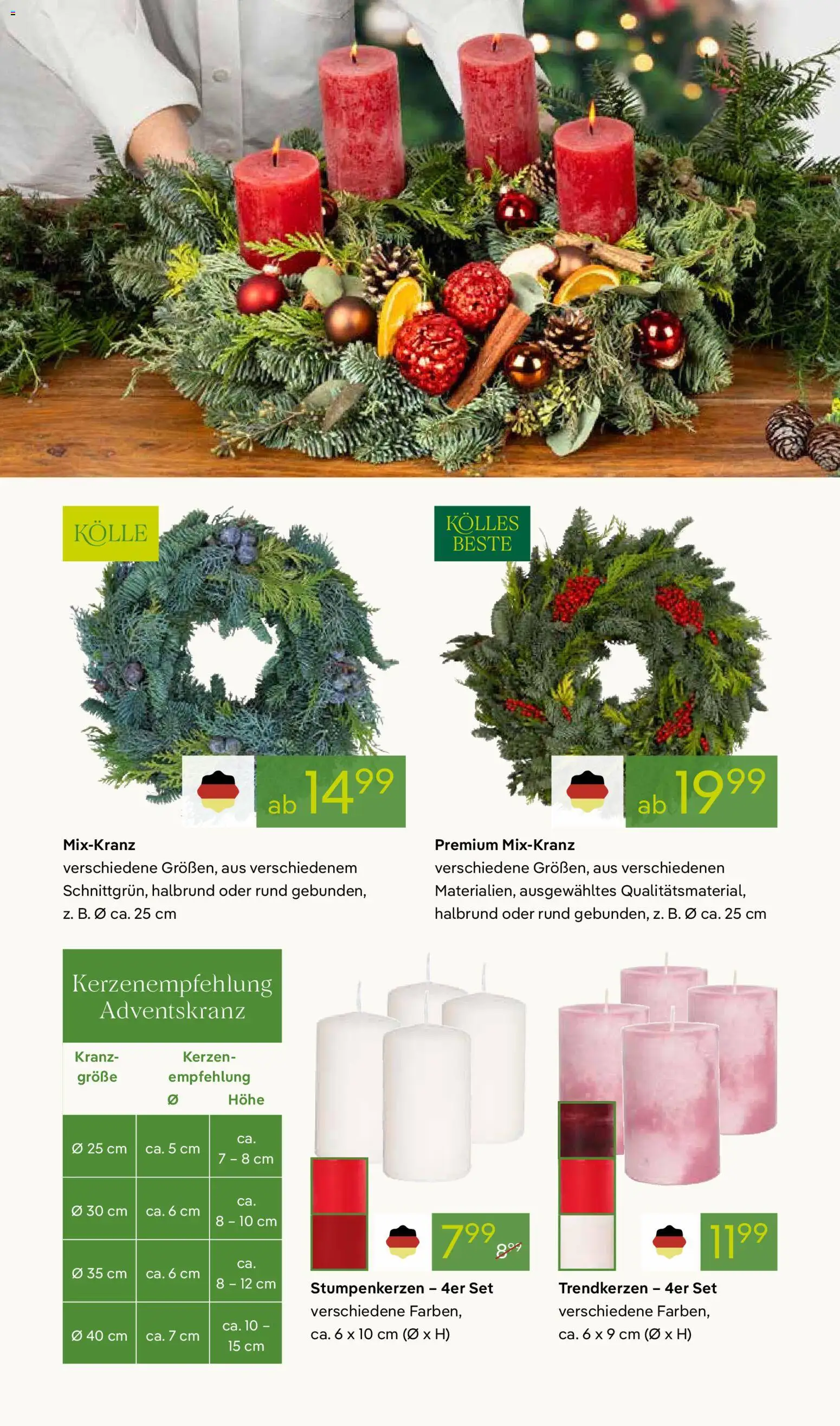 Pflanzen-Kölle Prospekt 	 – gültig ab 17.11.2025 | Seite: 6