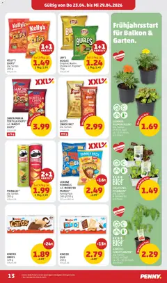 Penny Markt - Flugblatt ab 23.04.2026 gültig | Seite: 13