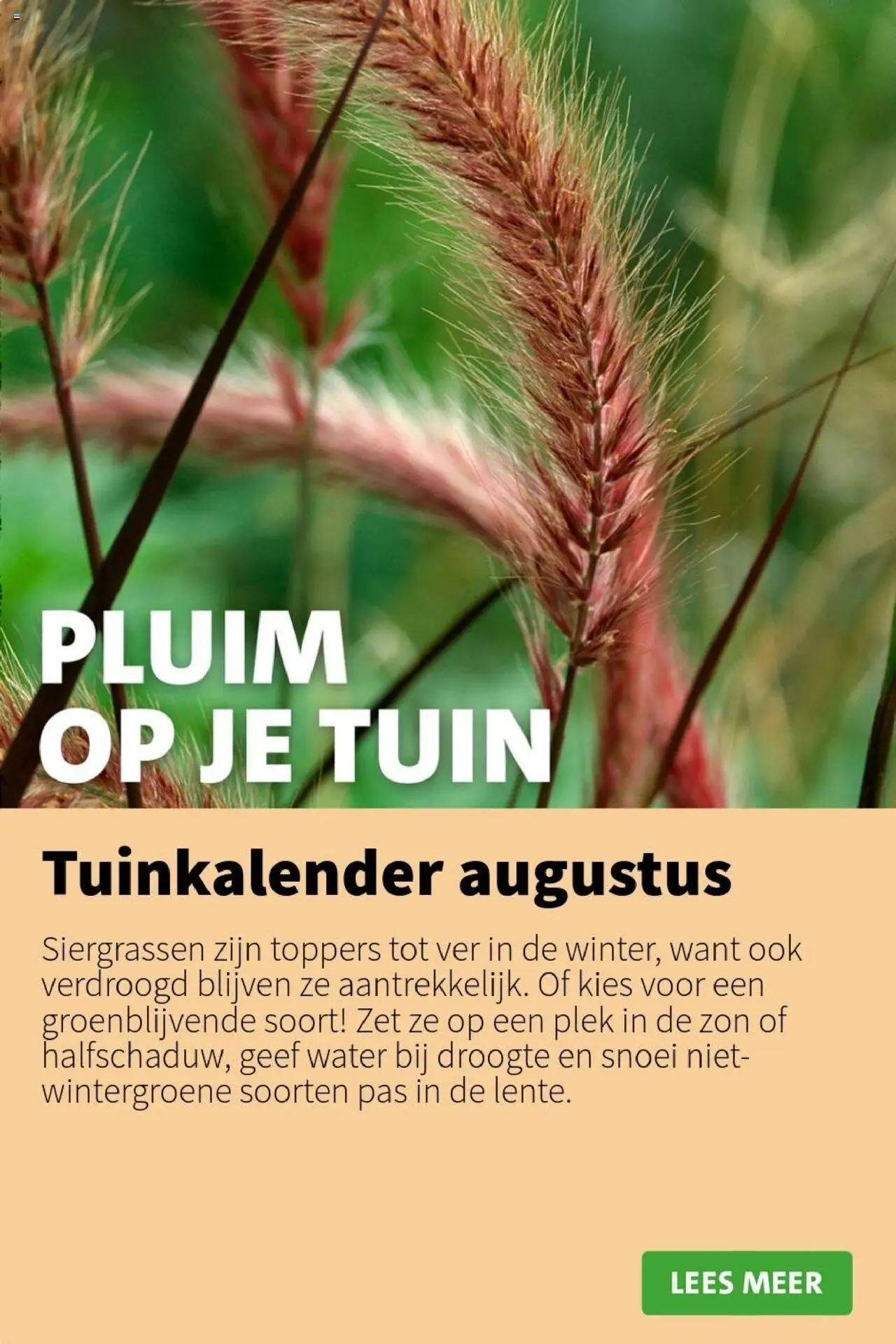  | Pagina: 6 | Producten: Festék
