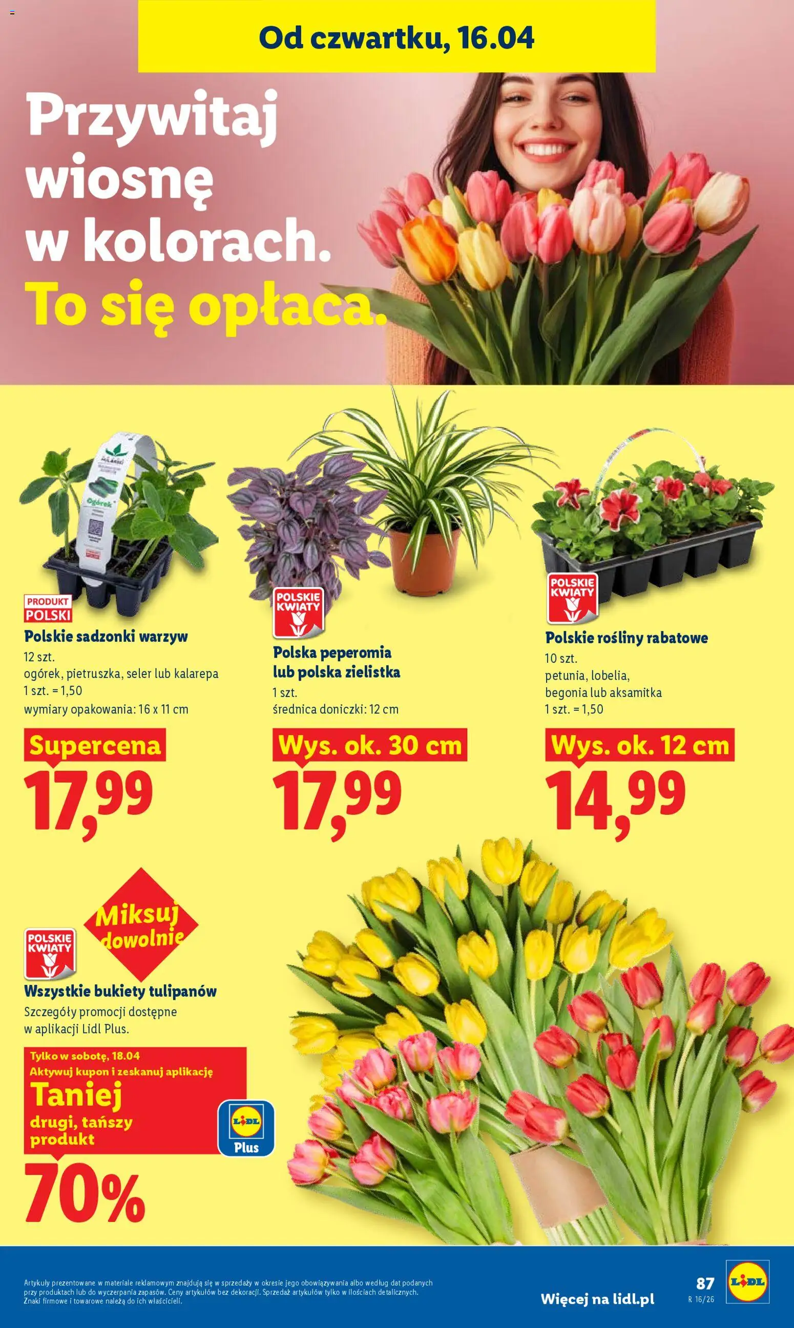 Lidl gazetka od 16.04.2026 | Strona: 87 | Produkty: Kalarepa, Rosliny, Doniczki, Kwiaty