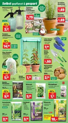 Thomas Philipps Prospekt ab 02.02.2026 gültig | Seite: 5 | Produkte: Hochbeet, Pflanzerde, Blumentopf, Tomaten