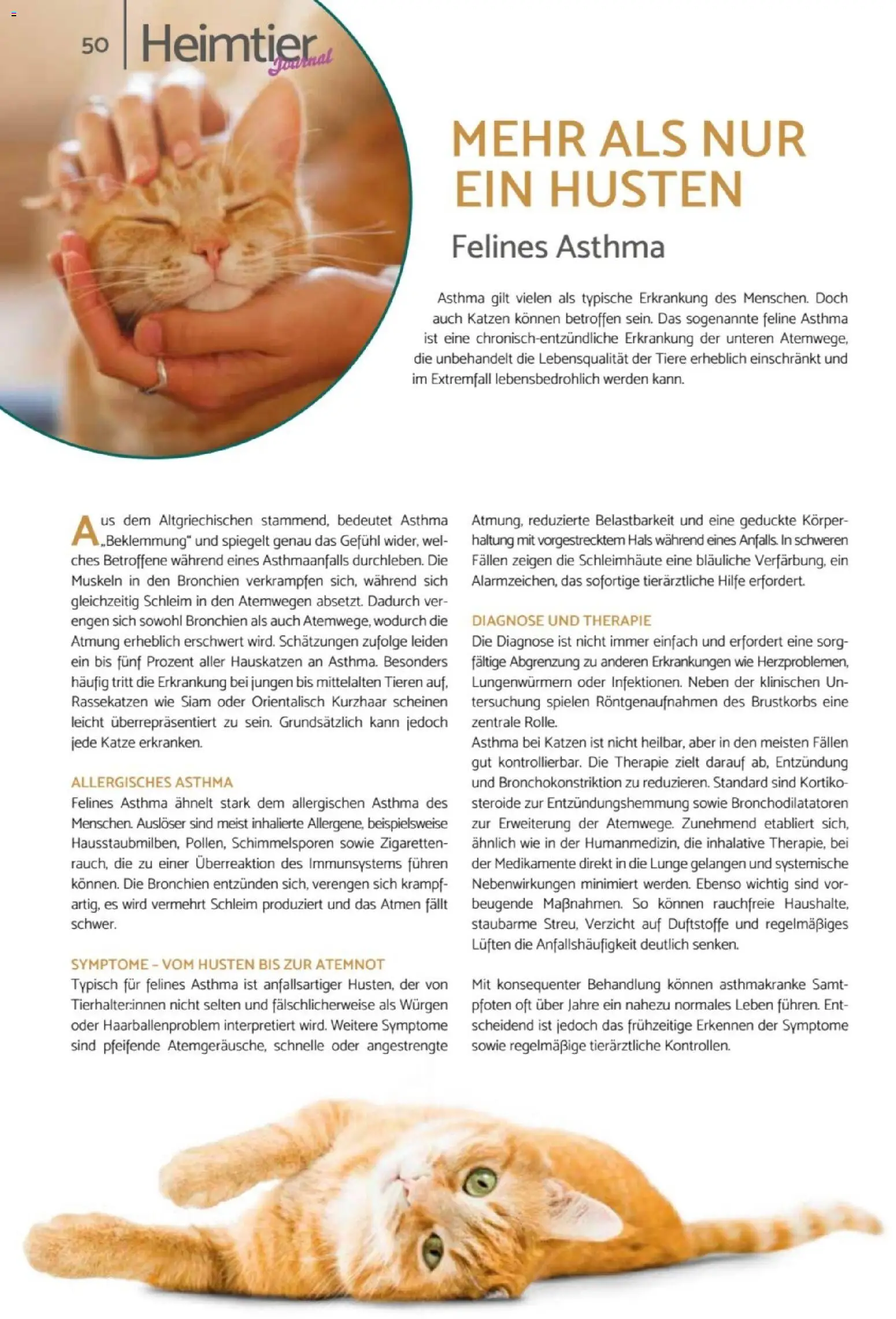 zookauf Heimtier Journal – gültig ab 01.04.2026 | Seite: 50