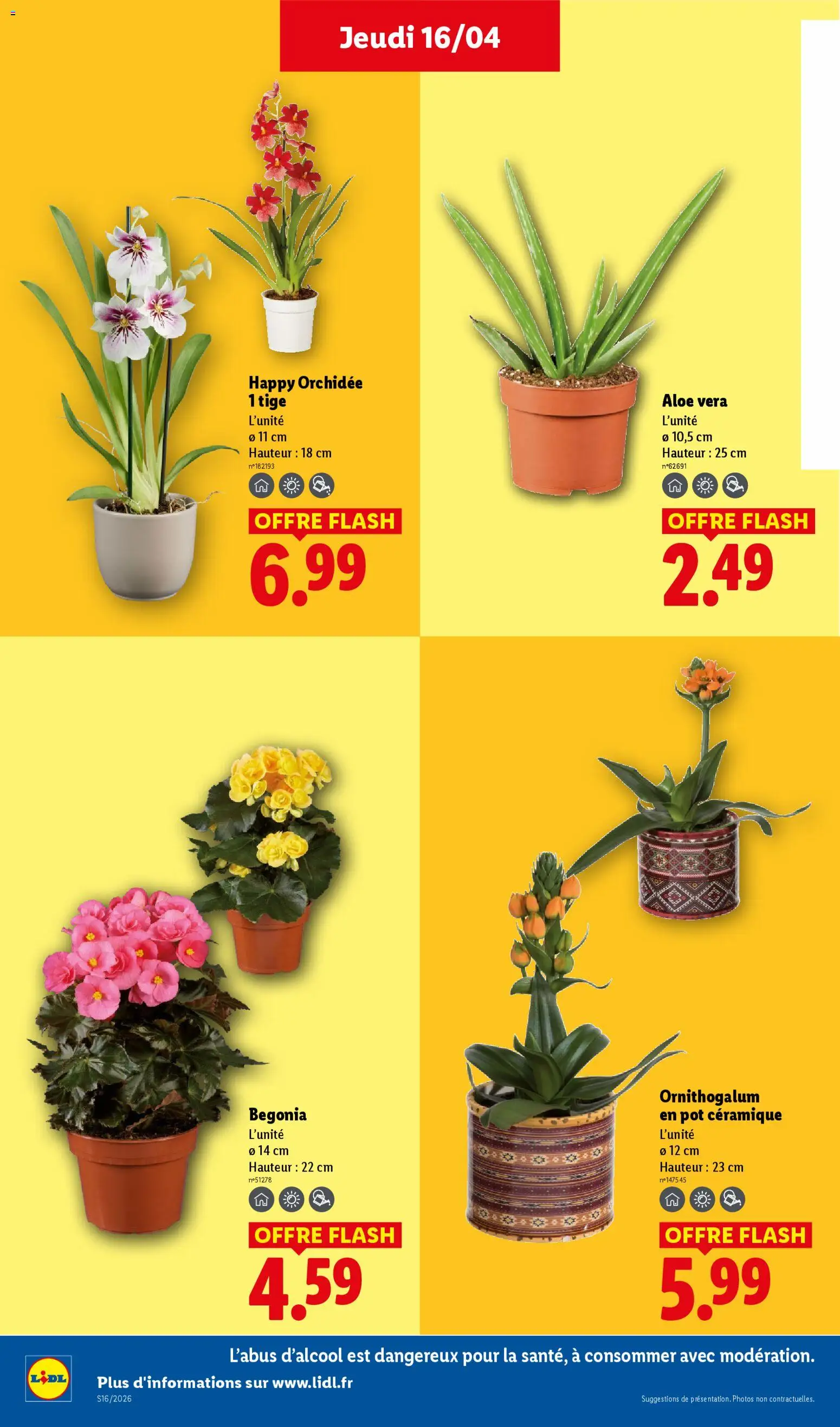 {H1} | Page: 26 | Produits: Orchidée