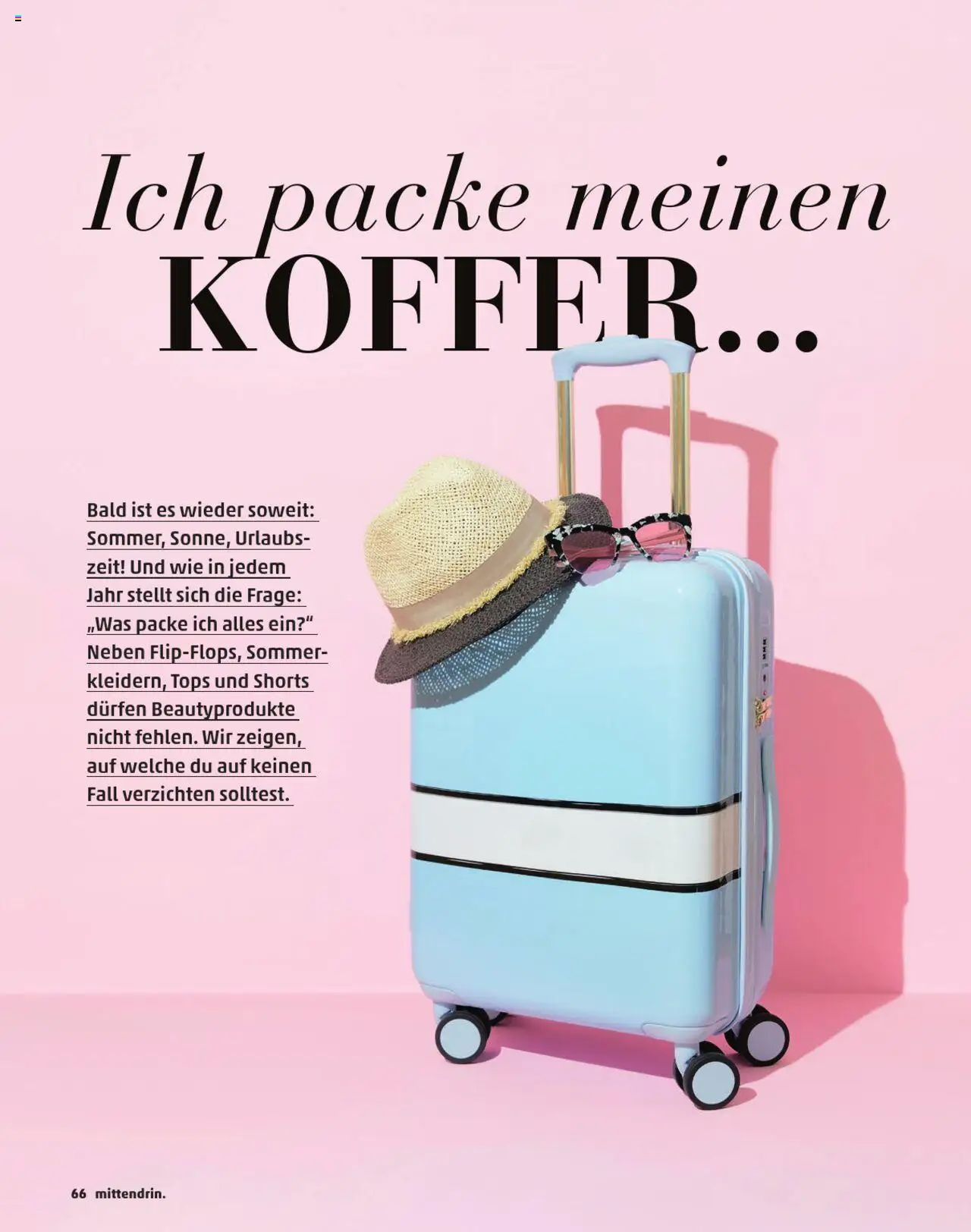 Penny  Kundenmagazin Sommer - gültig ab dem 13.06.2025 | Seite: 66 | Produkte: Koffer