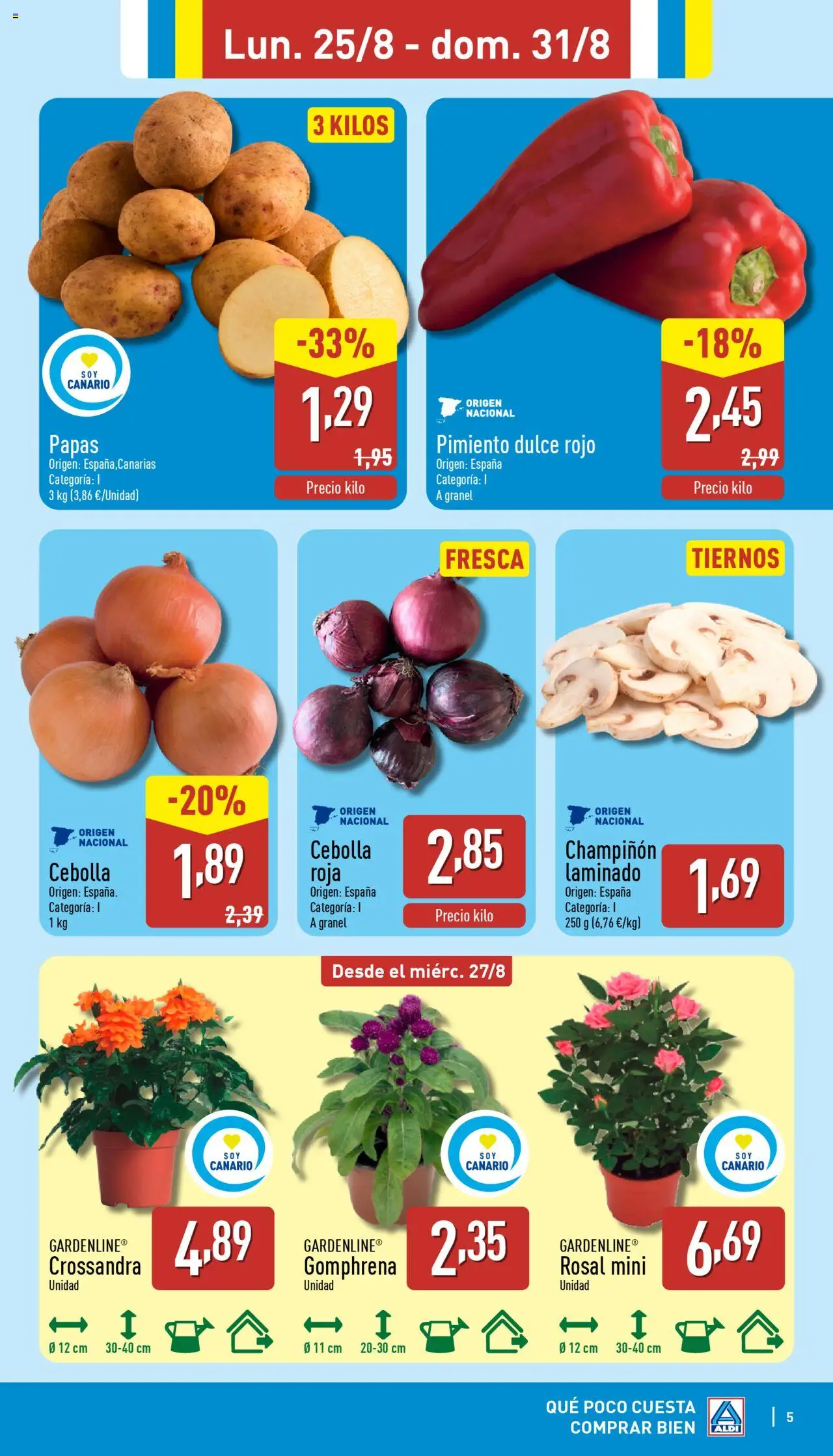 Aldi folleto Canarias │ válido desde el 25.08.2025 | Página: 5 | Productos: Κάδος απορρυμάτων, Παγωμένο τσάι