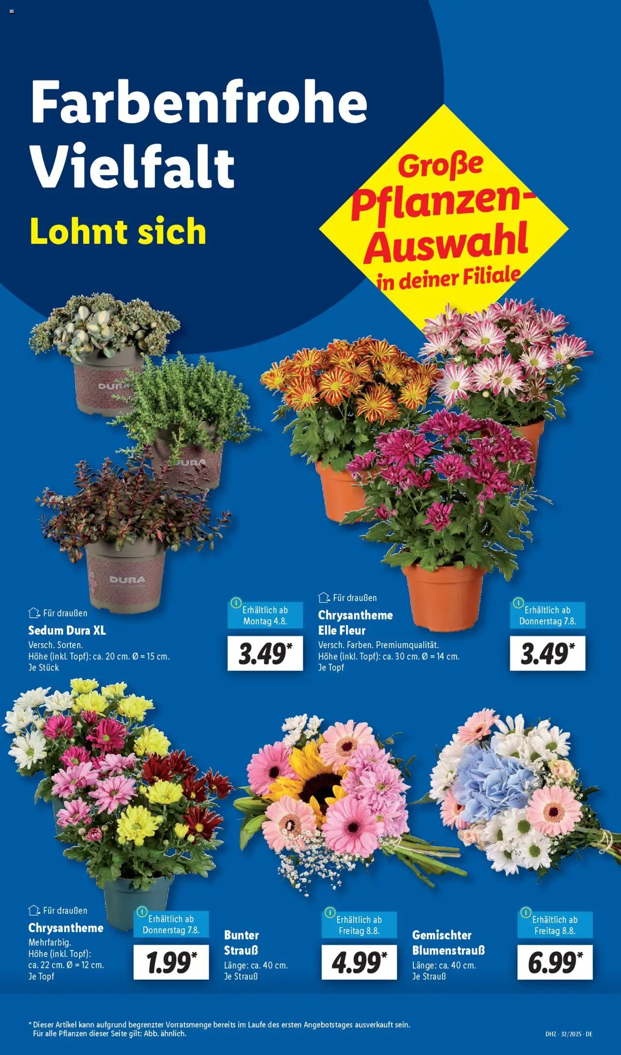 Lidl Prospekt Katzenelnbogen - gültig ab dem 04.08.2025 | Seite: 13