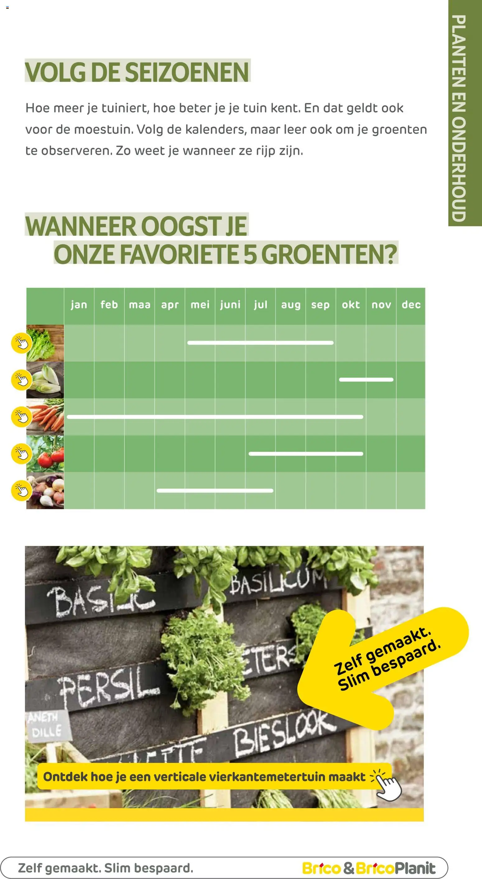 {H1} | Pagina: 138 | Producten: Groenten