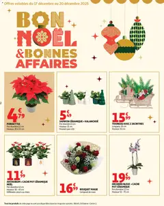 Auchan - Prévisualisation de Auchan prospectus valide à partir de 16.12.2025 | Page: 2 | Produits: Poinsettia, Orchidée