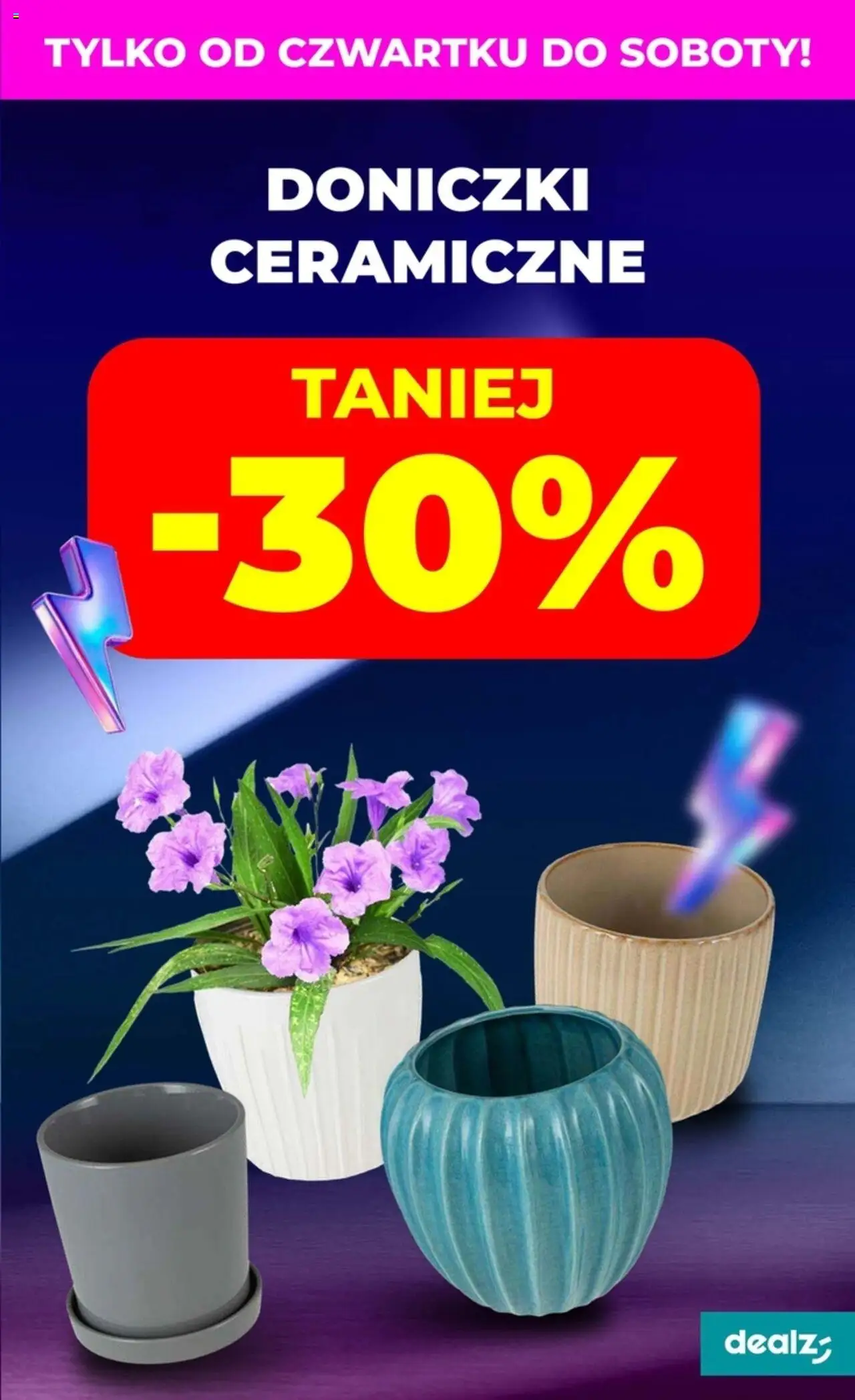 Dealz Gazetka od 21.08.2025 | Strona: 49 | Produkty: Doniczki