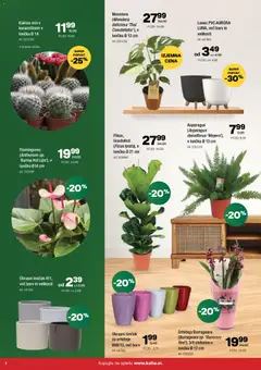 Kalia katalog akcije – veljaven od 12.01.2026 | Stran: 8