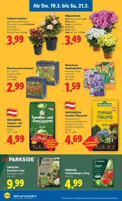 Lidl Flugblatt - Oberpullendorf, Güssing, Oberwart ab 19.03.2026 gültig | Seite: 28 | Produkte: Gemüse, Tomaten