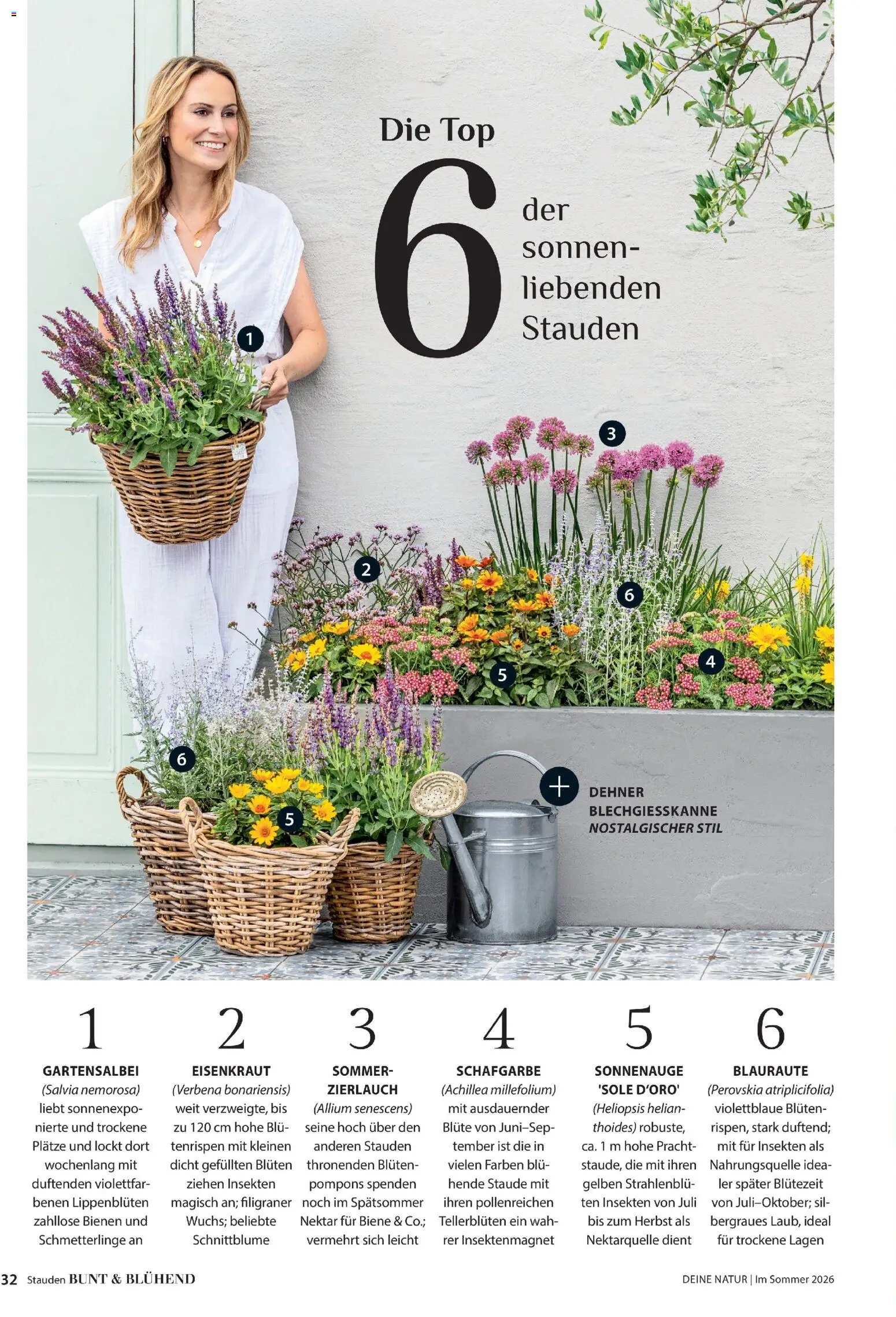 Dehner Prospekt 	 – gültig ab 17.04.2026 | Seite: 32 | Produkte: Top