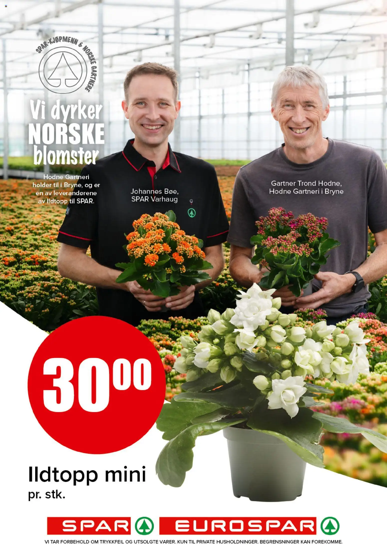 {H1} | Side: 20 | Produkter: Cremă pentru față