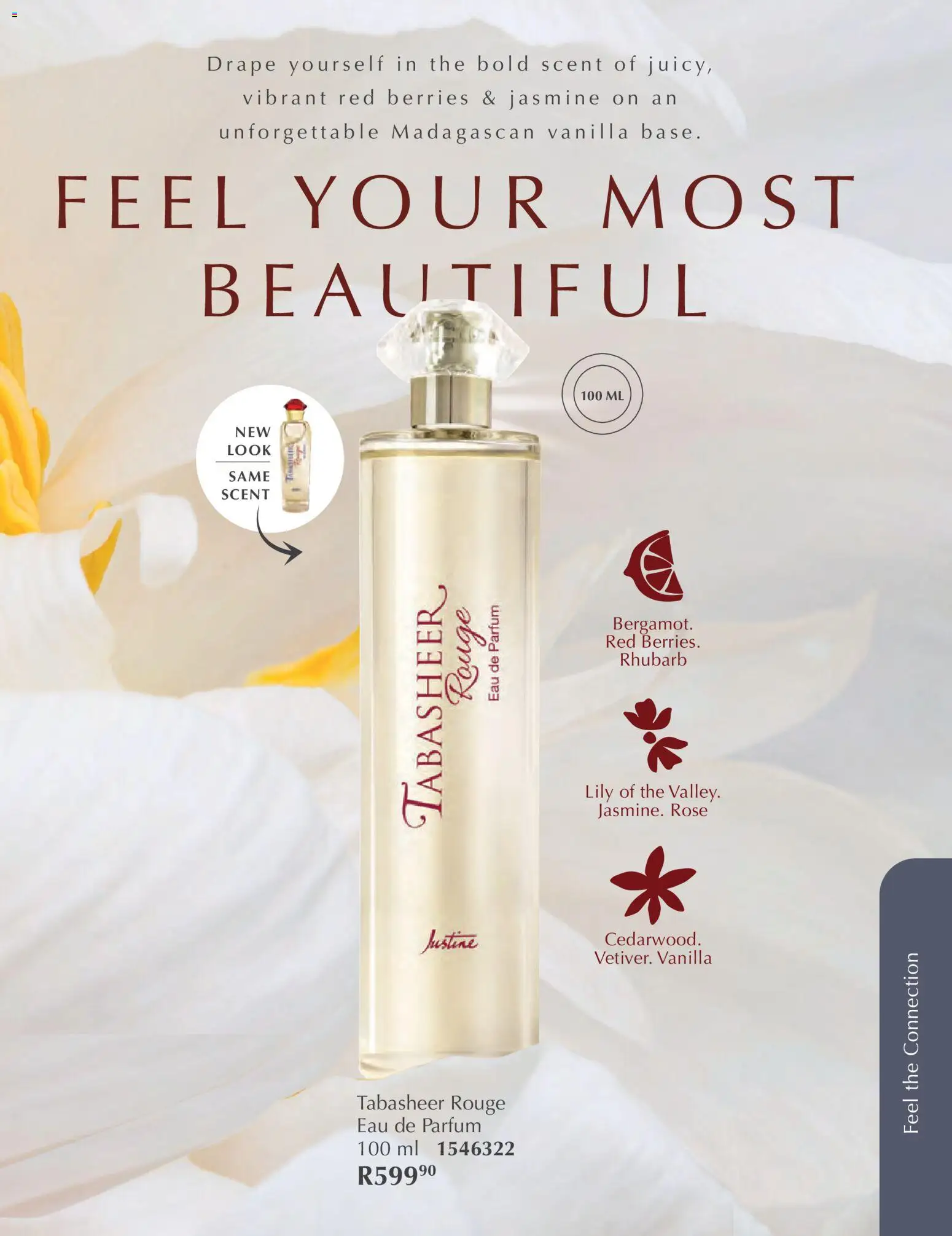 New Justine catalogue – valid from 01.02.2026 | Page: 10