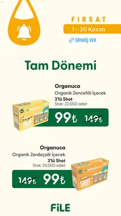 01.11.2025 tarihinden itibaren geçerli olan File Market kataloğu önizlemesi