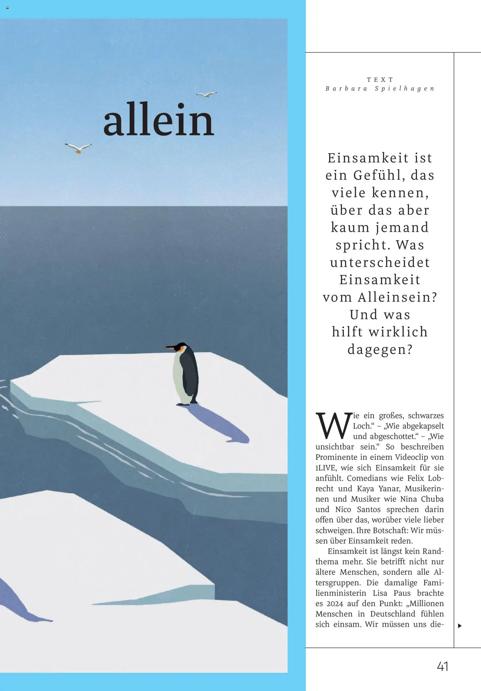 Rossmann Centaur – gültig ab 01.02.2026 | Seite: 41