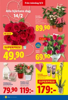 Lidl - Gäller 9/2-15/2 i din butik - Förhandsvisning av reklamblad från butik Lidl aktuell från 09.02.2026 | Sida: 21 | Produkter: Kruka