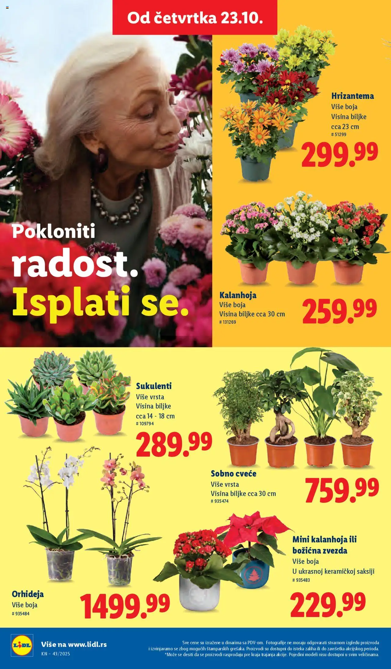 Lidl katalog - važi od 23.10.2025 | Strana: 60